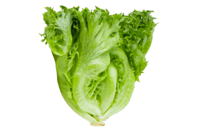 Toy Car Gifts for Boys Girls Kids 3+, RC Cars, Remote Control Car