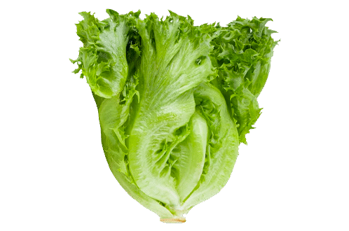 Toy Car Gifts for Boys Girls Kids 3+, RC Cars, Remote Control Car