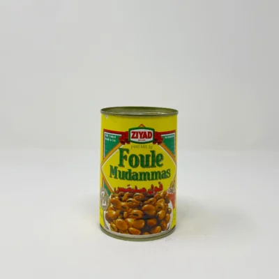 Ziyad Foule Mudammas